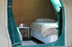 brandberg white lady lodge