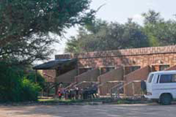 brandberg white lady lodge