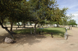 camping accommodation in the buitepos area