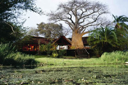 Caprivi Lodge