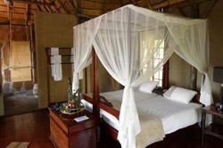 Caprivi Accommodation