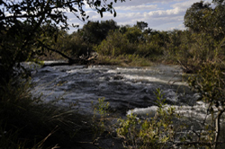 Caprivi Lodge