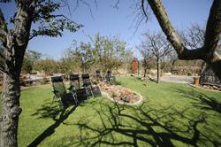 places to stay in Etosha