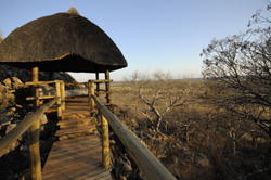 Little Ongava Lodge