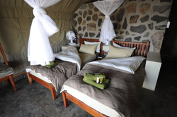 places to stay in Etosha