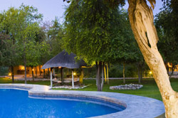 Etosha Lodge