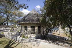 Okaukuejo Etosha