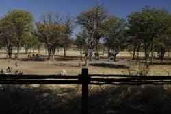 places to stay in Etosha