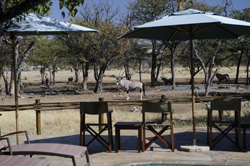 places to stay in Etosha