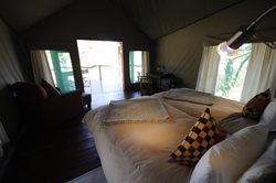 places to stay in Etosha