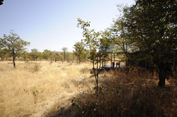 places to stay in Etosha