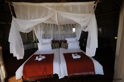 places to stay in Etosha