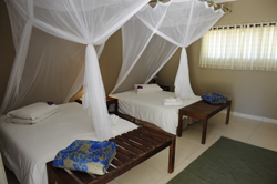 places to stay in Etosha