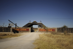 places to stay in Etosha