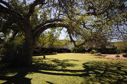 places to stay in Etosha