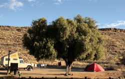 Canyon Road Campsite