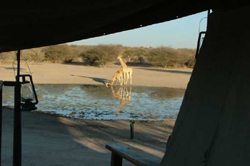 lodge accommodation in gobabis