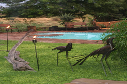 kavita lion lodge