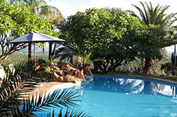 bambatsi ranch