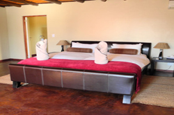 zebra kalahari lodge mariental