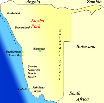 etosha  namibia