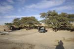 agama_camp_06