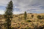 aus_camping_02