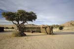 aus_camping_15
