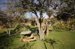 etosha_safari_camping_02