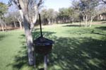 etosha_safari_camping_04