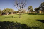 etosha_safari_camping_09