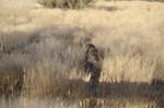 hammerstein_lodge_23