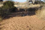hammerstein_lodge_25
