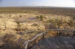 ongava_lodge_16