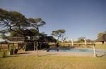 onguma_bush_lodge_19