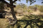 toshari_camping_01