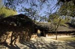 uris_camping_01