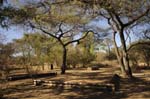 uris_camping_02