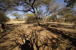 uris_camping_15
