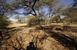 uris_camping_17