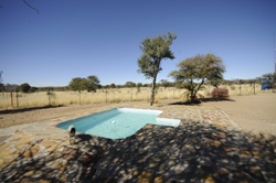 olive tree guesthouse