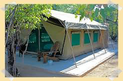 mopane tented camp