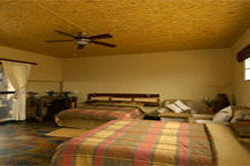 aloegrove safari lodge