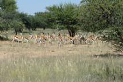 otjiwa lodge