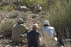 desert rhino camp