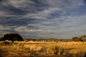 soft light on the savannah of Namibia
