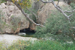 ongongo camp
