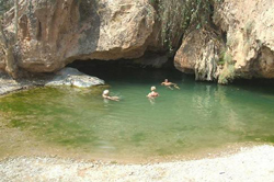 ongongo camp