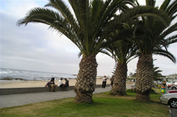 swakopmund accommodation