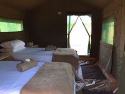 Madisa Safari Tent